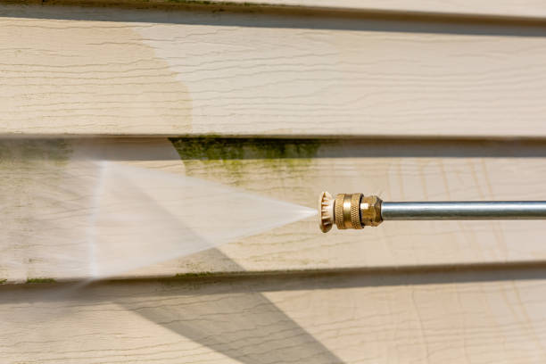 Best Exterior Home Cleaning  in Shadybrook, TX